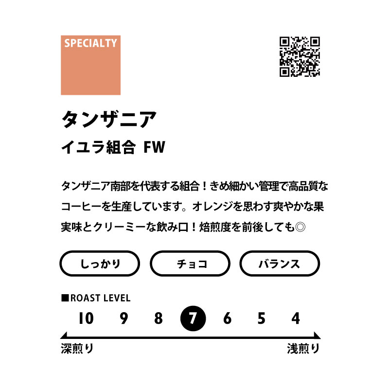 ＜AFRICA＞　アフリカ3種飲み比べセット　送料無料